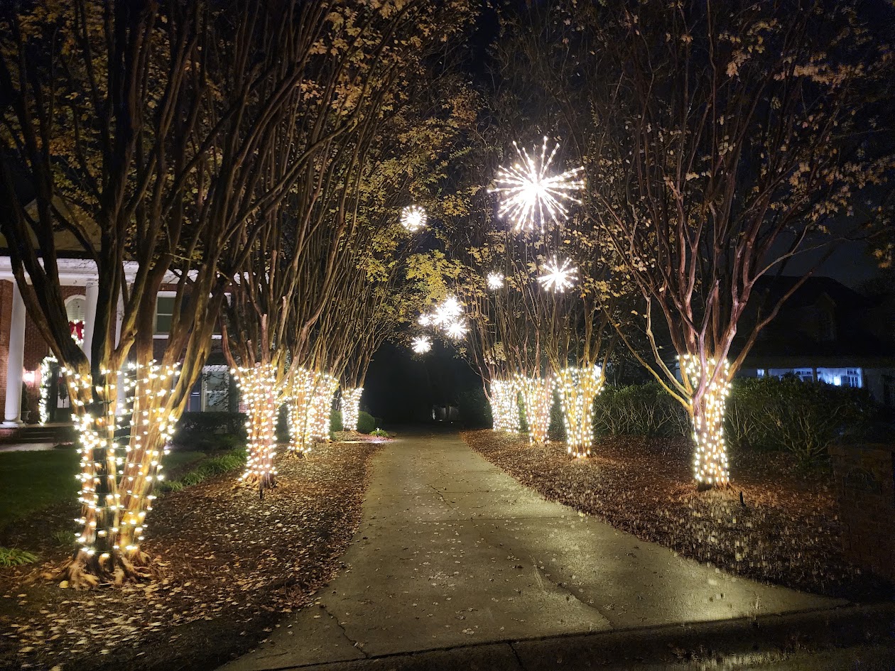 Warm-white tree wraps and illuminated spritzers lining a residential driveway