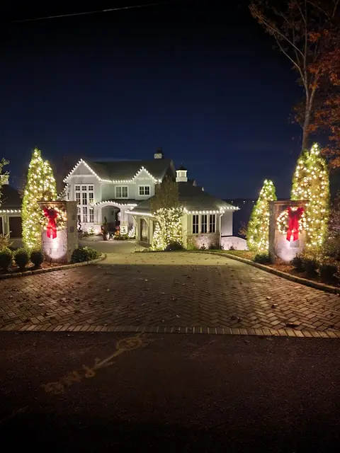 Warm White LED Holiday Lights