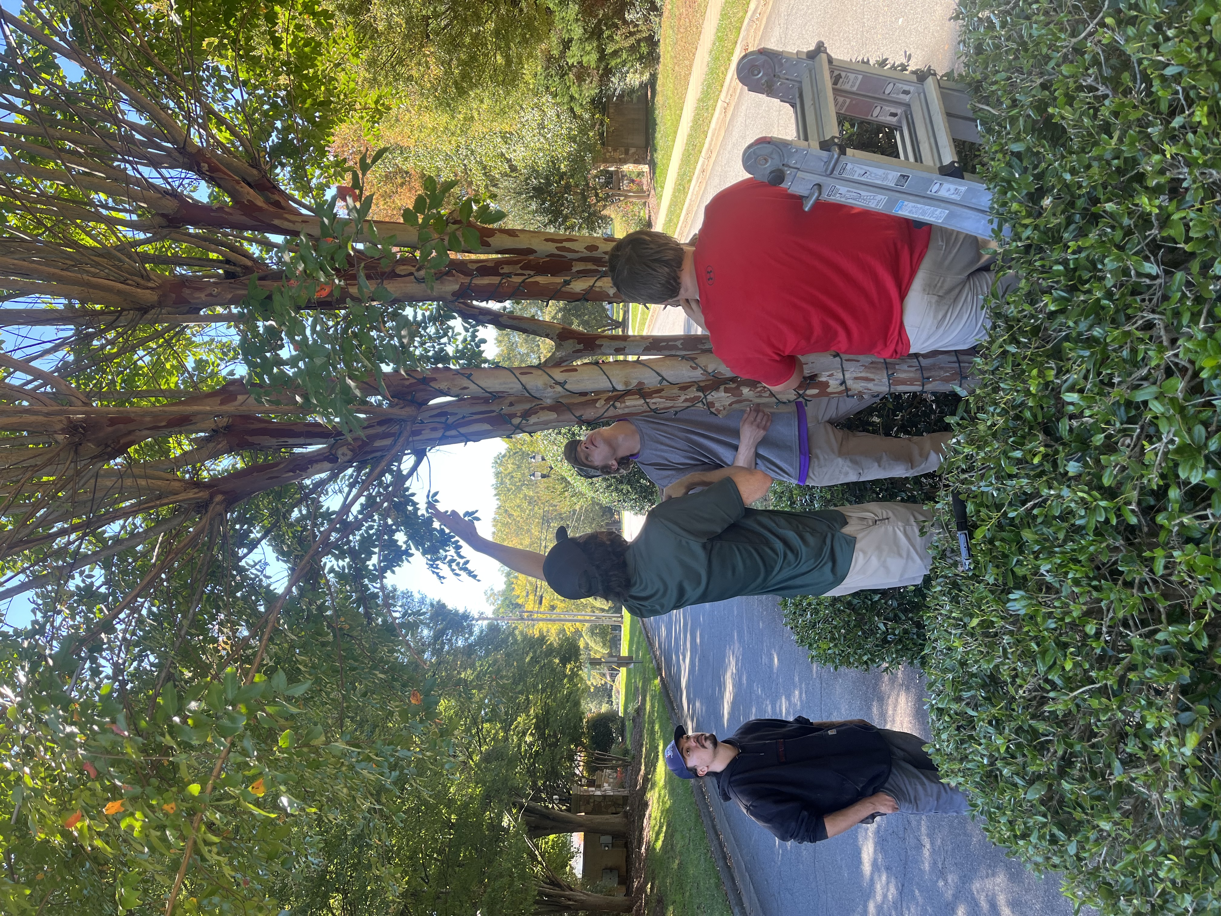 Thomas Hester training a Christmas light installation team in the field