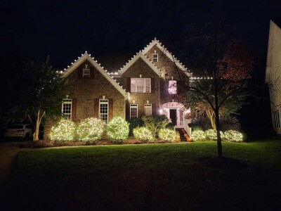 Bush Lighting