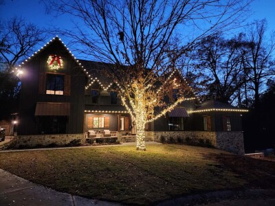 Tree Lighting
